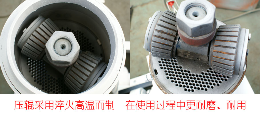 饲料草莓视频下载网站压辊环模图片