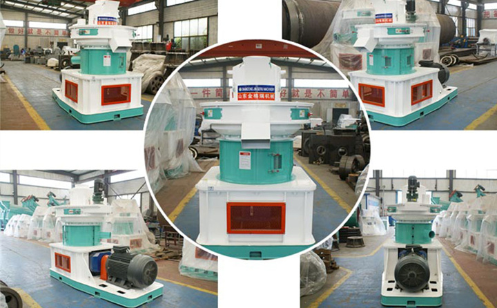 草莓视频下载网站图片