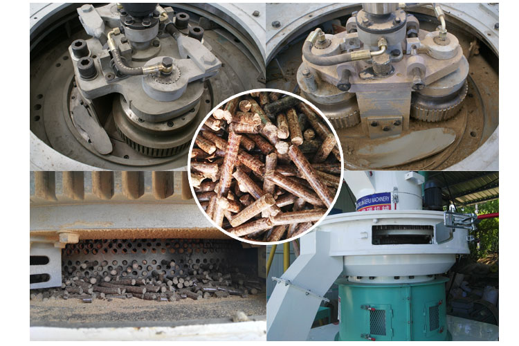 内部结构及草莓视频下载网站图 内部结构及草莓视频下载网站图