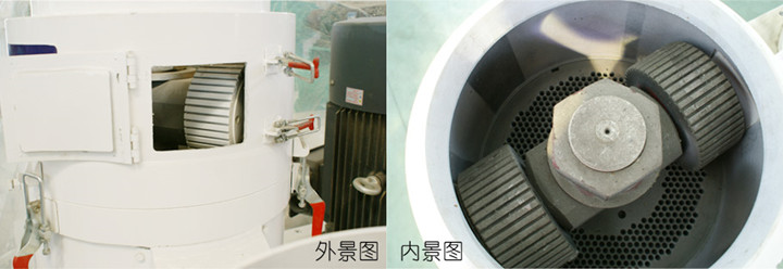 草莓视频下载网站内景图