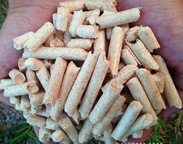 生物质燃料草莓视频下载网站械