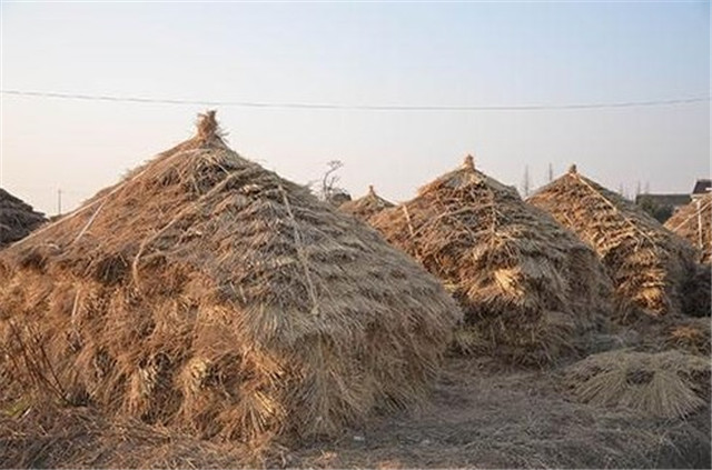 1508827243581531.jpg 1503328104118165.jpg