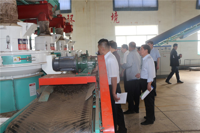 考察生物质草莓视频下载网站