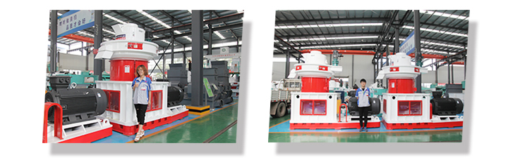 850生物质草莓视频下载网站展示图