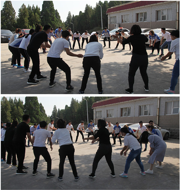 让你的想象变成现实，让你的思想变为行动