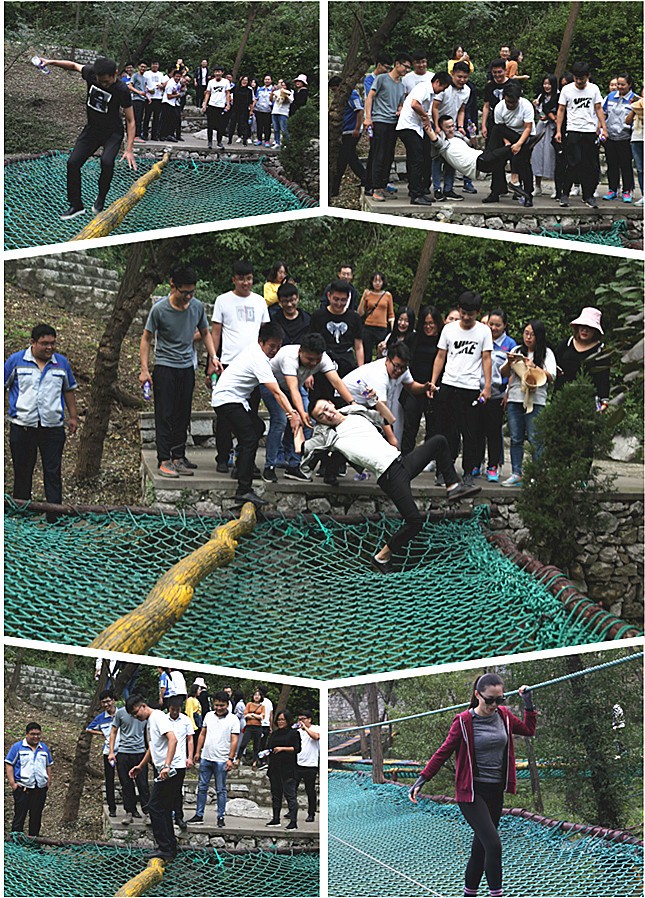 草莓视频APP网址进入18在线生物质草莓视频下载网站的小伙伴们齐心协力，共创佳绩