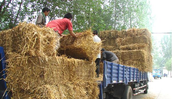 内蒙古呼和浩特秸秆收储 内蒙古呼和浩特秸秆收储