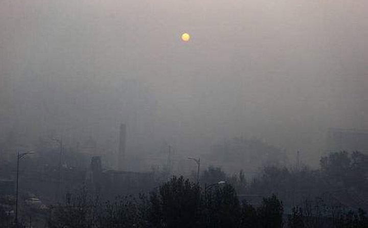 生物质草莓视频下载网站械