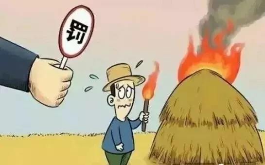 禁烧秸秆 生物质草莓视频下载网站械