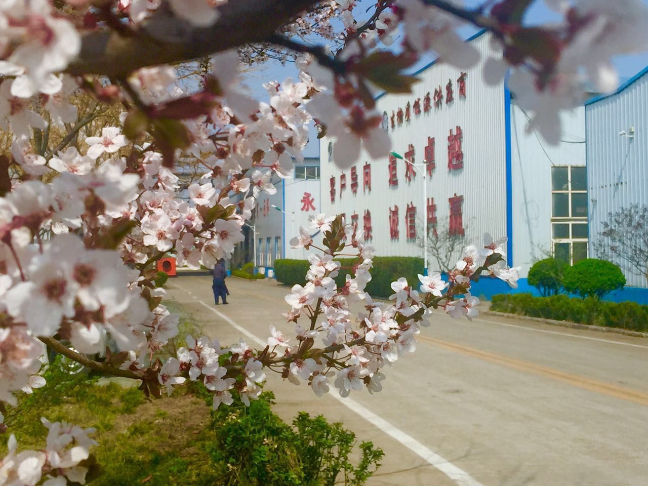 草莓视频APP网址进入18在线草莓视频下载网站厂家 生物质草莓视频下载网站械