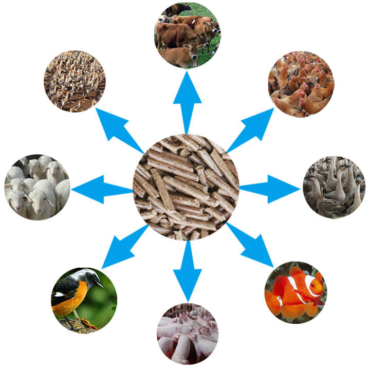 颗粒多种用途 颗粒多种用途