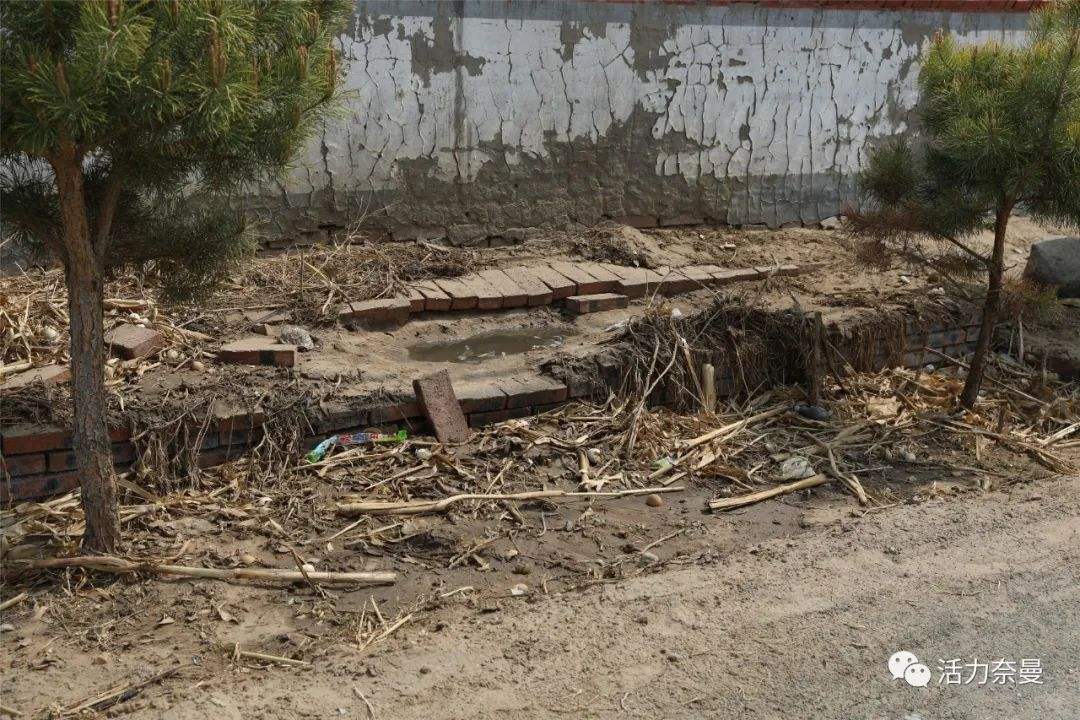 农村垃圾无序堆放 生物质草莓视频下载网站械