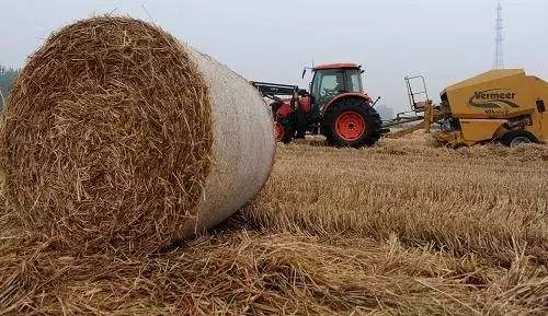 生物质资源丰富 生物质草莓视频下载网站械