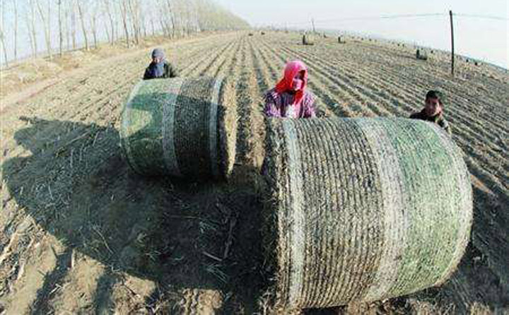 秸秆综合利用 生物质草莓视频下载网站械