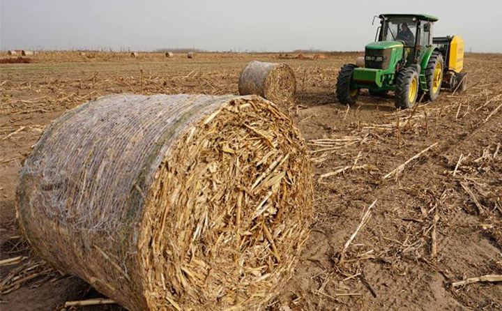 生物质资源丰富 生物质草莓视频下载网站械