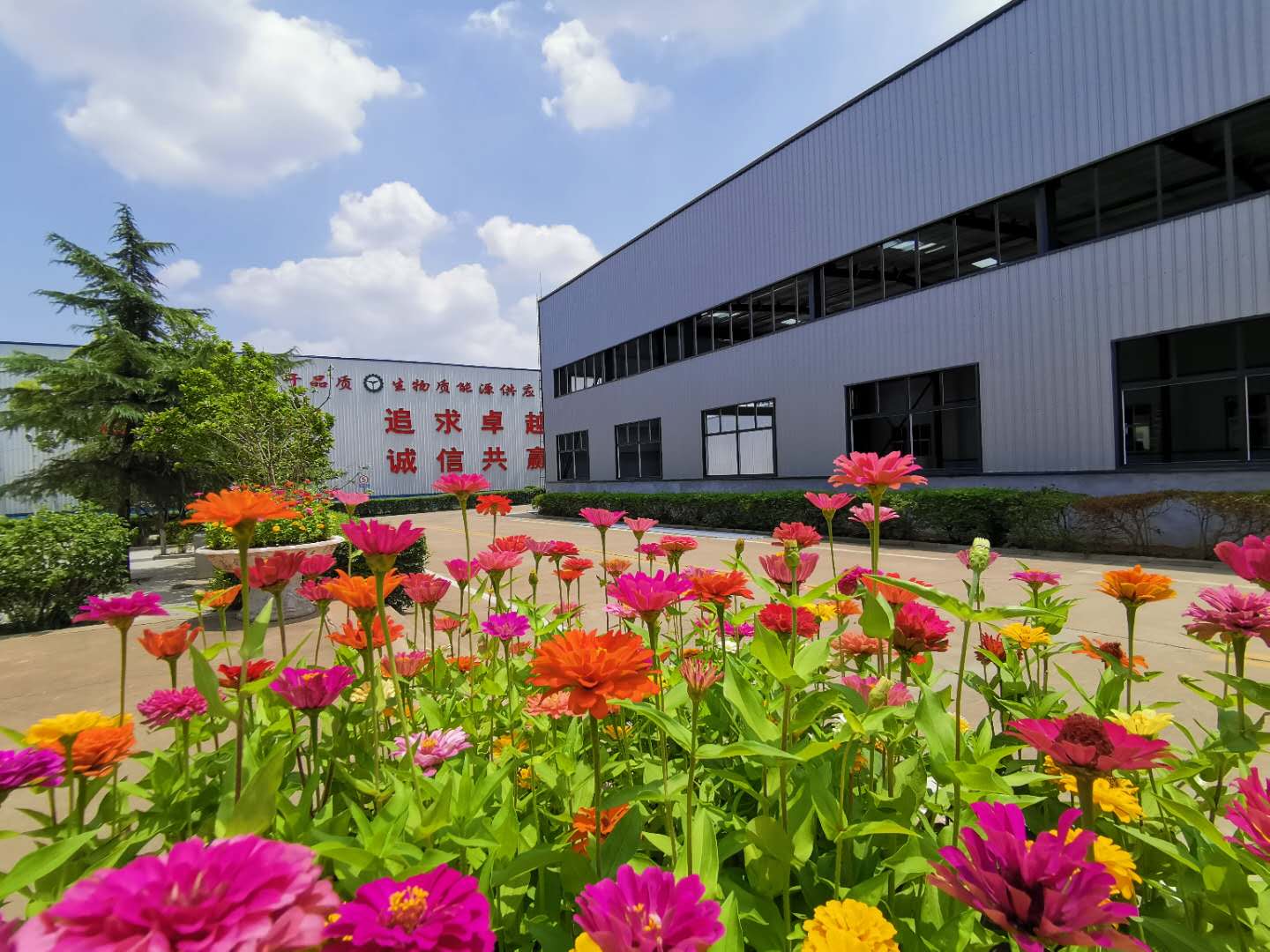 山东草莓视频APP网址进入18在线草莓视频下载网站厂家 山东草莓视频APP网址进入18在线草莓视频下载网站厂家