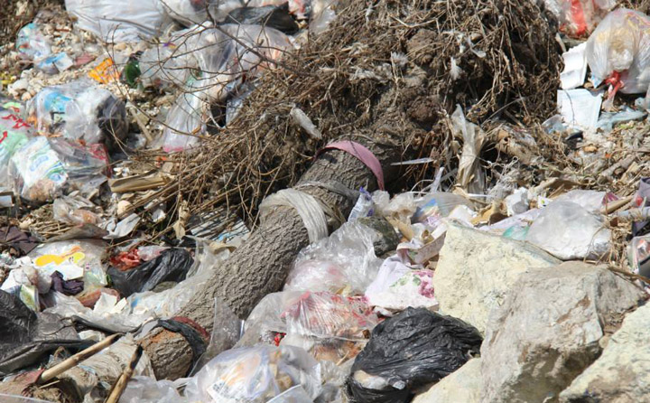 农林废弃物污染环境 生物质草莓视频下载网站械