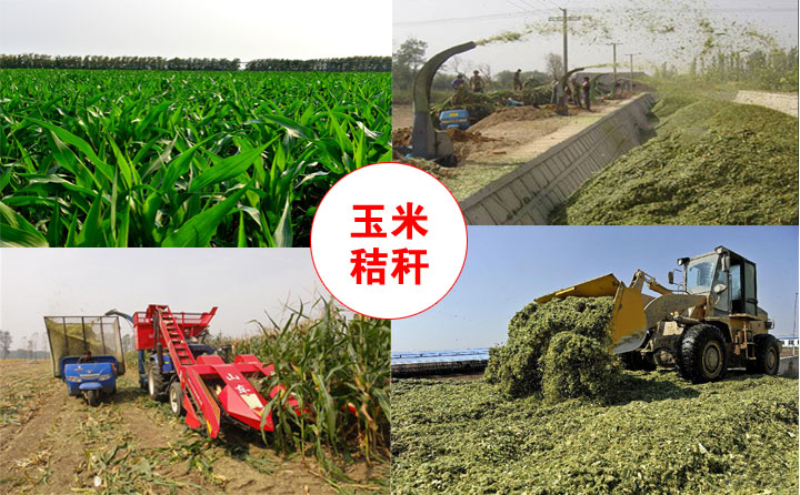 生物质草莓视频下载网站械