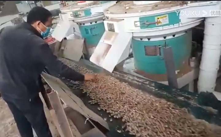 山西张总检查草莓视频下载网站制粒情况