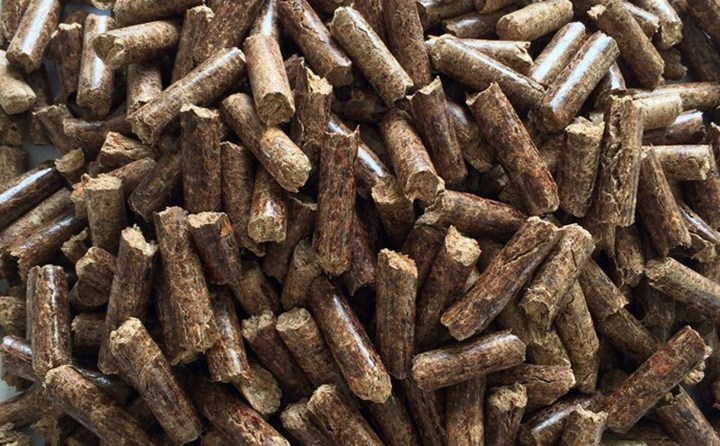 生物质燃料 生物质燃料