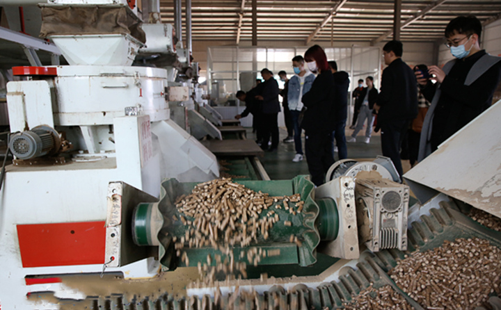生物质燃料草莓视频下载网站颗粒燃料的加工车间 生物质燃料草莓视频下载网站颗粒燃料的加工车间