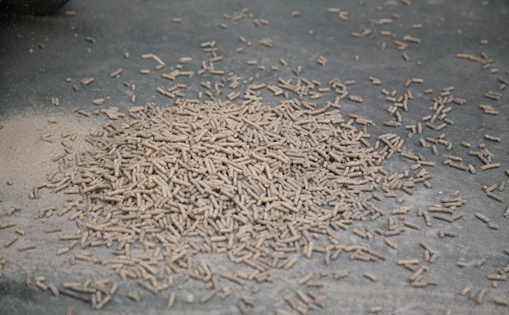 生物质燃料颗粒 生物质燃料颗粒