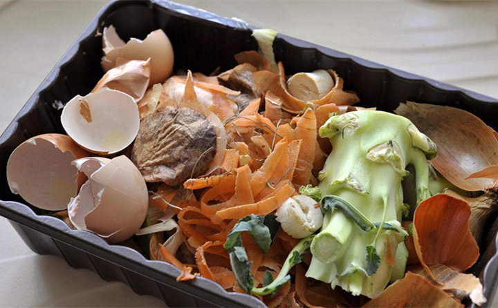 厨余垃圾 厨余垃圾