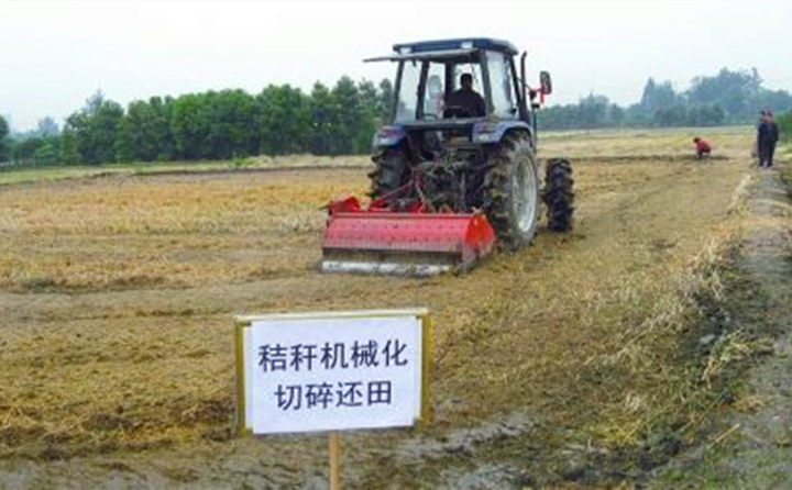 秸秆还田让“地越种越肥、产值越来越高” 秸秆还田让“地越种越肥、产值越来越高”