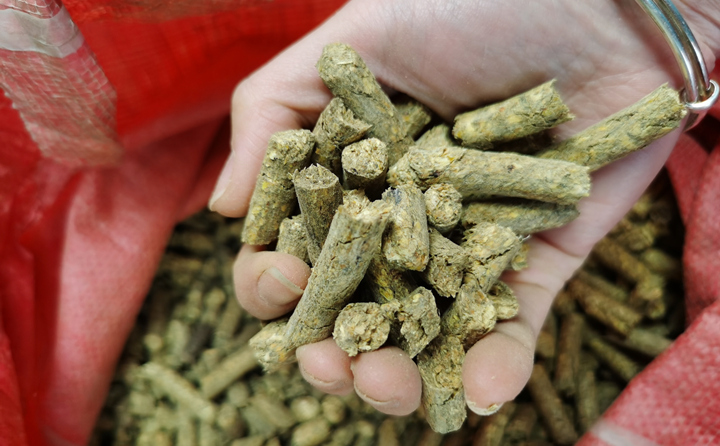 生物质颗粒燃料 生物质颗粒燃料