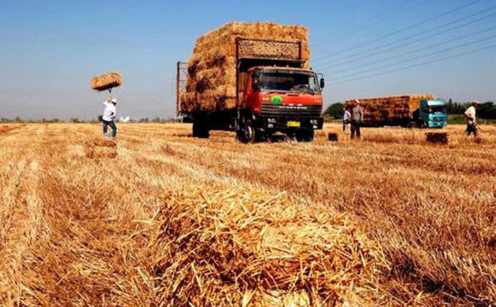 秸秆、木材加工厂的边角料、修剪果树的枝条、村里拆除老房子的废木料