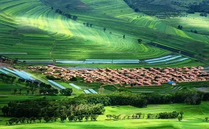 近日，甘谷县农业农村项目建设服务中心全体干部来到大石镇李湾村开展我为群众办实事活动