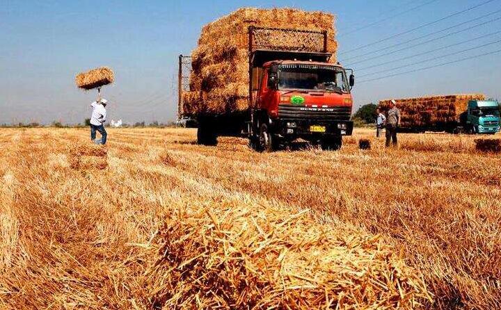 一台台秸秆打捆机正在田地里作业，一大片散落在地里的葵花、玉米秸秆被打包成一个个方块