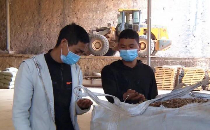 为有效禁止露天焚烧秸秆和有效提高农作物秸秆综合利用，双龙营镇多措并举，积极引导群众秸秆还田、秸秆饲料化、生物质草莓视频下载网站秸秆燃料化利用，从源头治理露天焚烧秸秆现象。