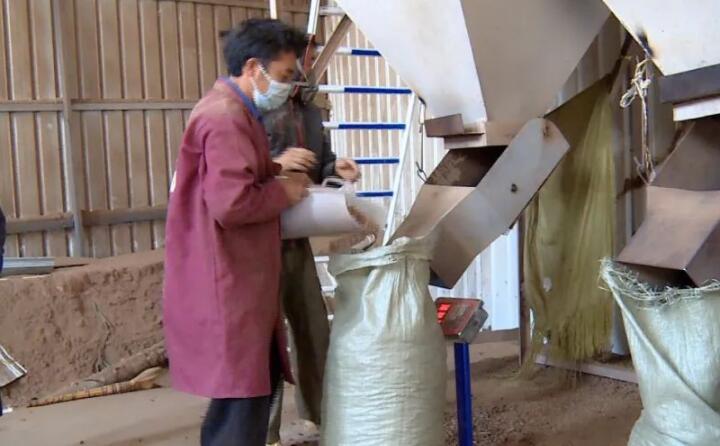 生物质颗粒它主要的生产成分，是拿农户的秸秆、菊花杆和这些玉米骨头、建筑红板、还有烤烟杆这些，草莓视频下载网站压制（后）生产出来的