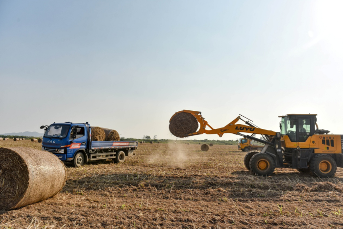 秸秆废物利用 秸秆废物利用