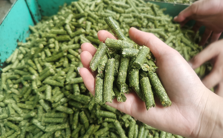 生物质能颗粒燃料 生物质能颗粒燃料