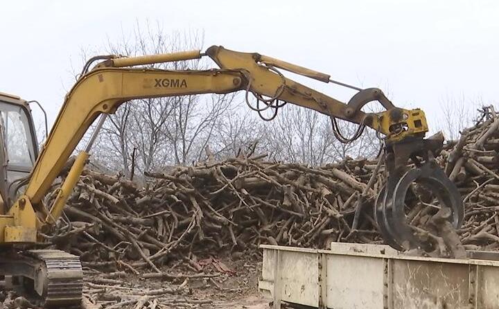抓木机正在将一根根木料放入传送带,伴随着轰隆隆的机械声,木料被削片、粉碎、烘干、草莓视频下载网站制粒、冷却,直到变成千家万户暖炉里的新能源材料——生物质颗粒。 抓木机正在将一根根木料放入传送带,伴随着轰隆隆的机械声,木料被削片、粉碎、烘干、草莓视频下载网站制粒、冷却,直到变成千家万户暖炉里的新能源材料——生物质颗粒。