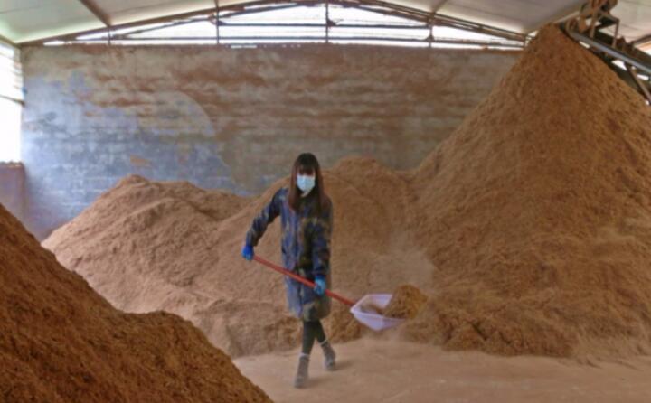 生物质颗粒燃料是一种新型洁净燃料 生物质颗粒燃料是一种新型洁净燃料