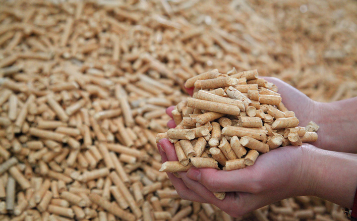生物质颗粒燃料 生物质颗粒燃料
