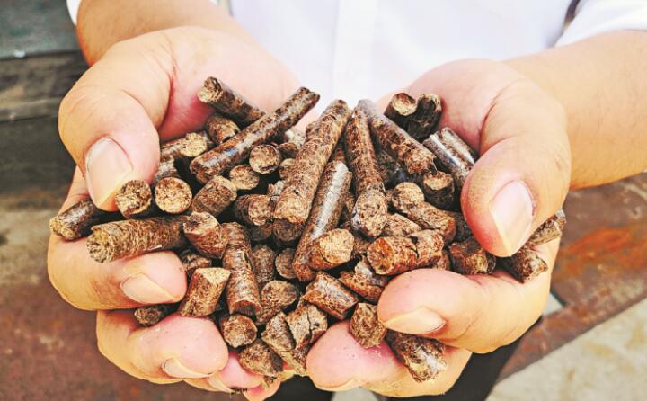 生物质草莓视频下载网站加工的环保木屑颗粒燃料 生物质草莓视频下载网站加工的环保木屑颗粒燃料