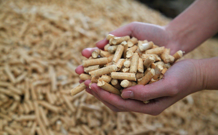 生物质燃料颗粒 生物质燃料颗粒