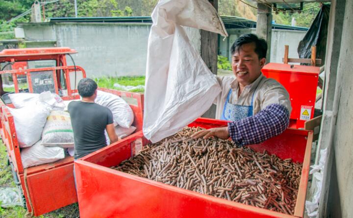 生物质草莓视频下载网站加工的生物质颗粒燃料 生物质草莓视频下载网站加工的生物质颗粒燃料