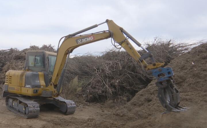 甘肃榆林子镇：农业“垃圾”再利用农林废料变废为宝