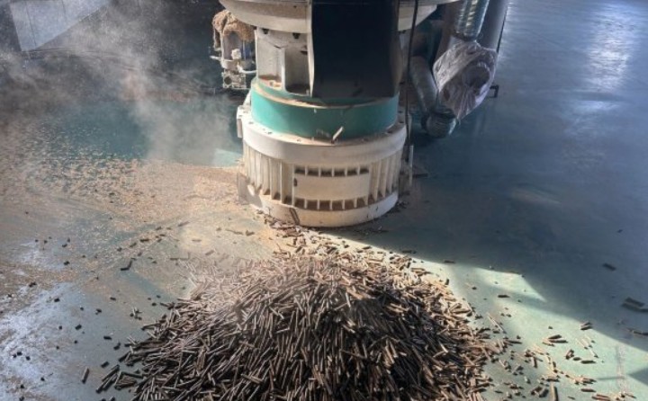 黑龙江鹤立林业局：生物质颗粒产业点燃绿色发展新引擎