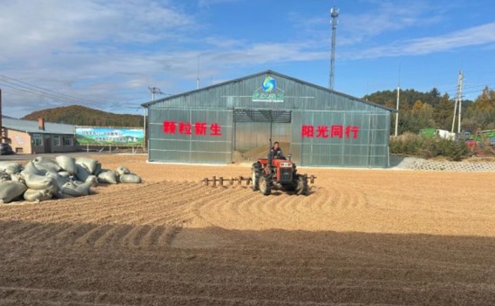 黑龙江鹤立林业局：生物质颗粒产业点燃绿色发展新引擎