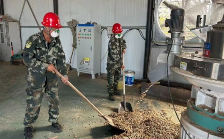 黑龙江鹤立林业局：生物质颗粒产业点燃绿色发展新引擎