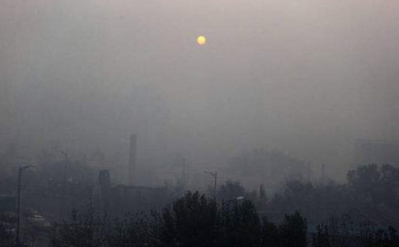 生物质草莓视频下载网站的出现，解决了废弃物处理难的问题