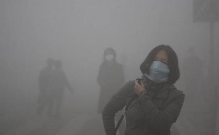 玉米秸秆草莓视频下载网站如何使秸秆变“宝贝”？