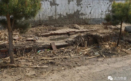生物质草莓视频下载网站的发展，对处理农村垃圾具有重要意义