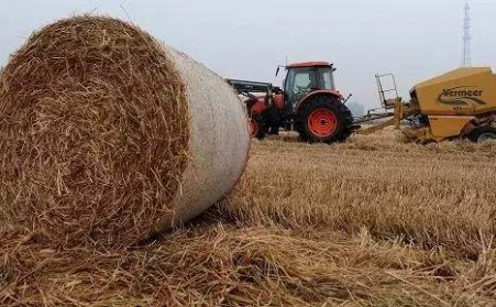 秸秆草莓视频下载网站为发展生物质能源奠定基础